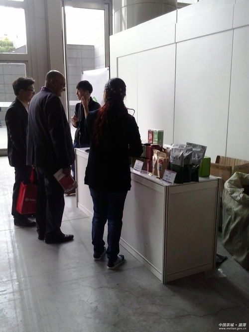 北京首冠国际教育咨询
