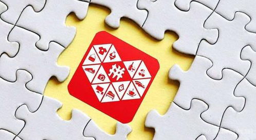 成都宾果博学教育信息咨询电商直播